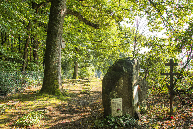Blick auf den Ehrenfriedhof